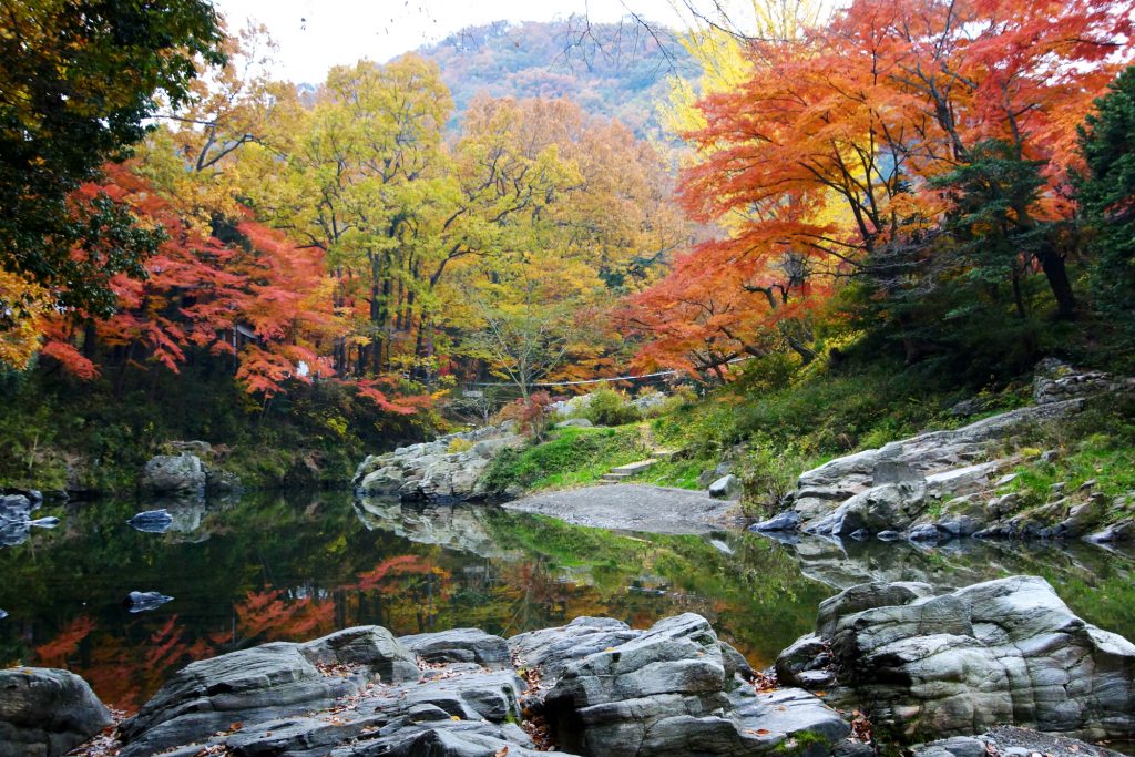 arashiyama