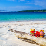 【沖縄】ならではのとっておきのギフトを！南国・沖縄の人気ギフトをご紹介！