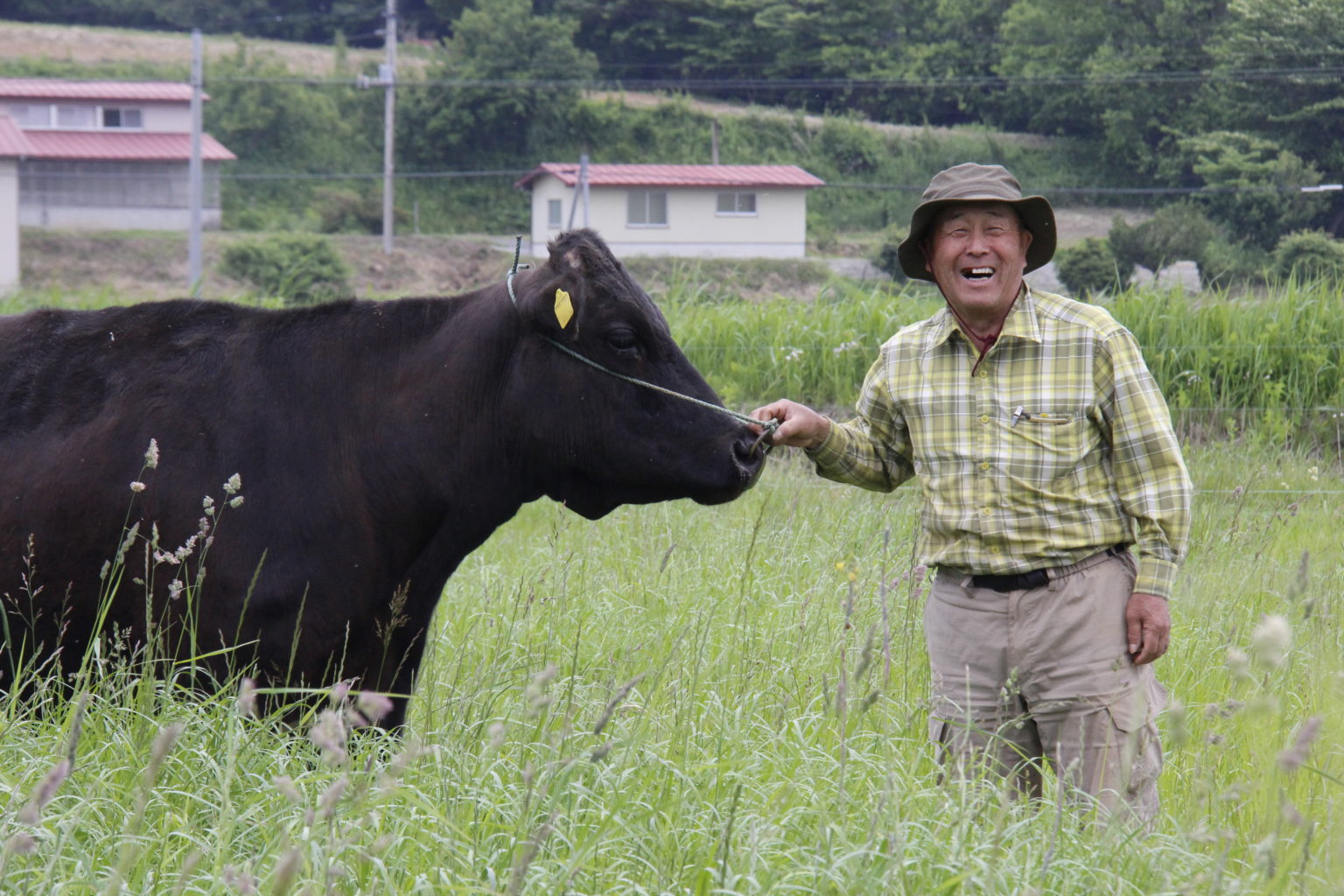【福島県飯舘村】日本で最も美しい村飯舘村に来てみませんか? TURNS(ターンズ)|移住・地方創生・地域活性化
