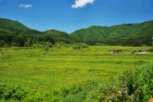 里山とは？里山が抱える課題や保全・活用方法、実際の暮らしを解説！ | TURNS（ターンズ）｜移住・地方創生・地域活性化