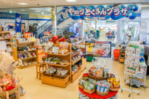 やいづとくさんプラザ